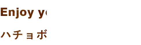 ハチョボリーノのご紹介