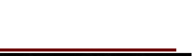 ハチョボリーノ 窯焼きピッツァの秘密