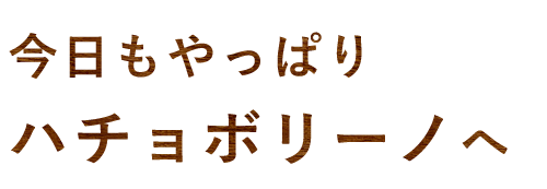 今日もやっぱり ハチョボリーノへ