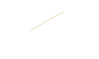 17:00～ DINNER