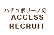 ハチョボリーノのACCESS